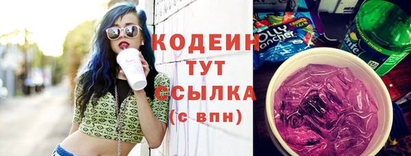 прущий лед Карпинск