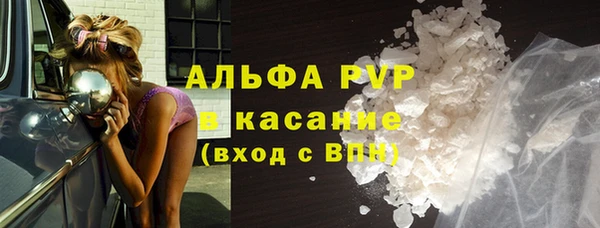 амф Каменногорск